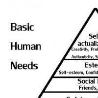 Reflexiones de Management